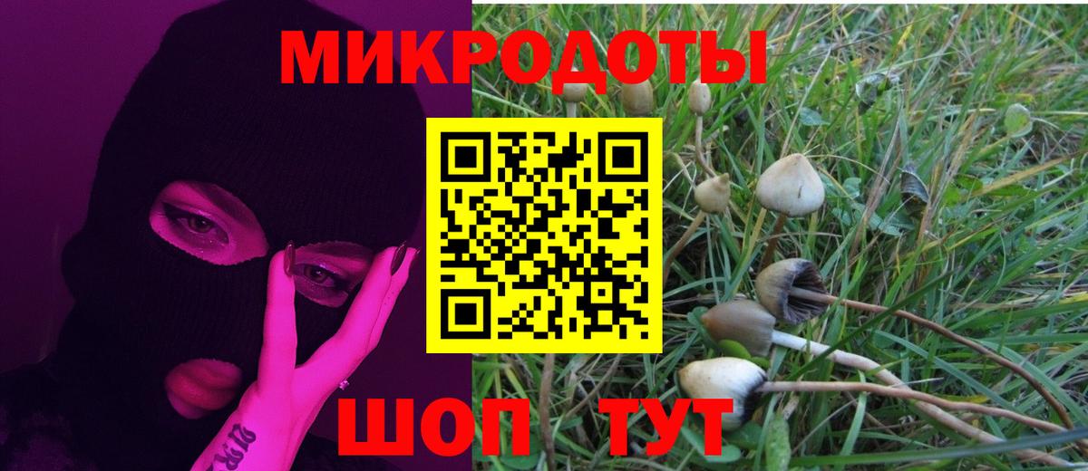Псилоцибиновые грибы Cubensis Великий Новгород