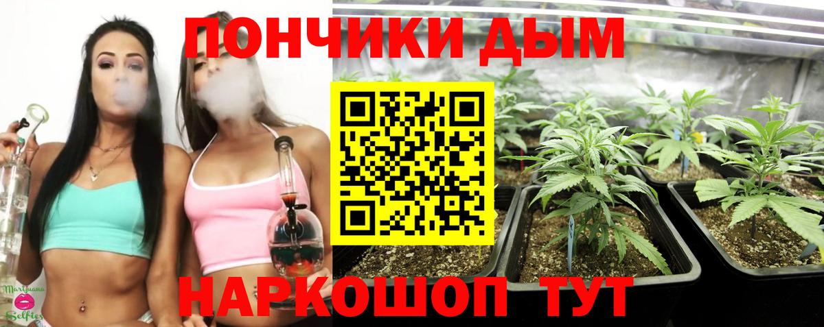 Каннабис ГИДРОПОН Великий Новгород